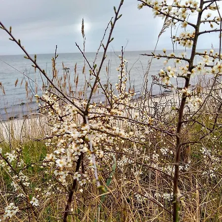 Tranquil Retreat - By Traum بيت للعطل